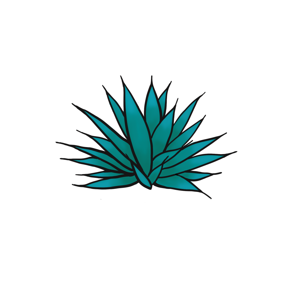 Agave Zwolf